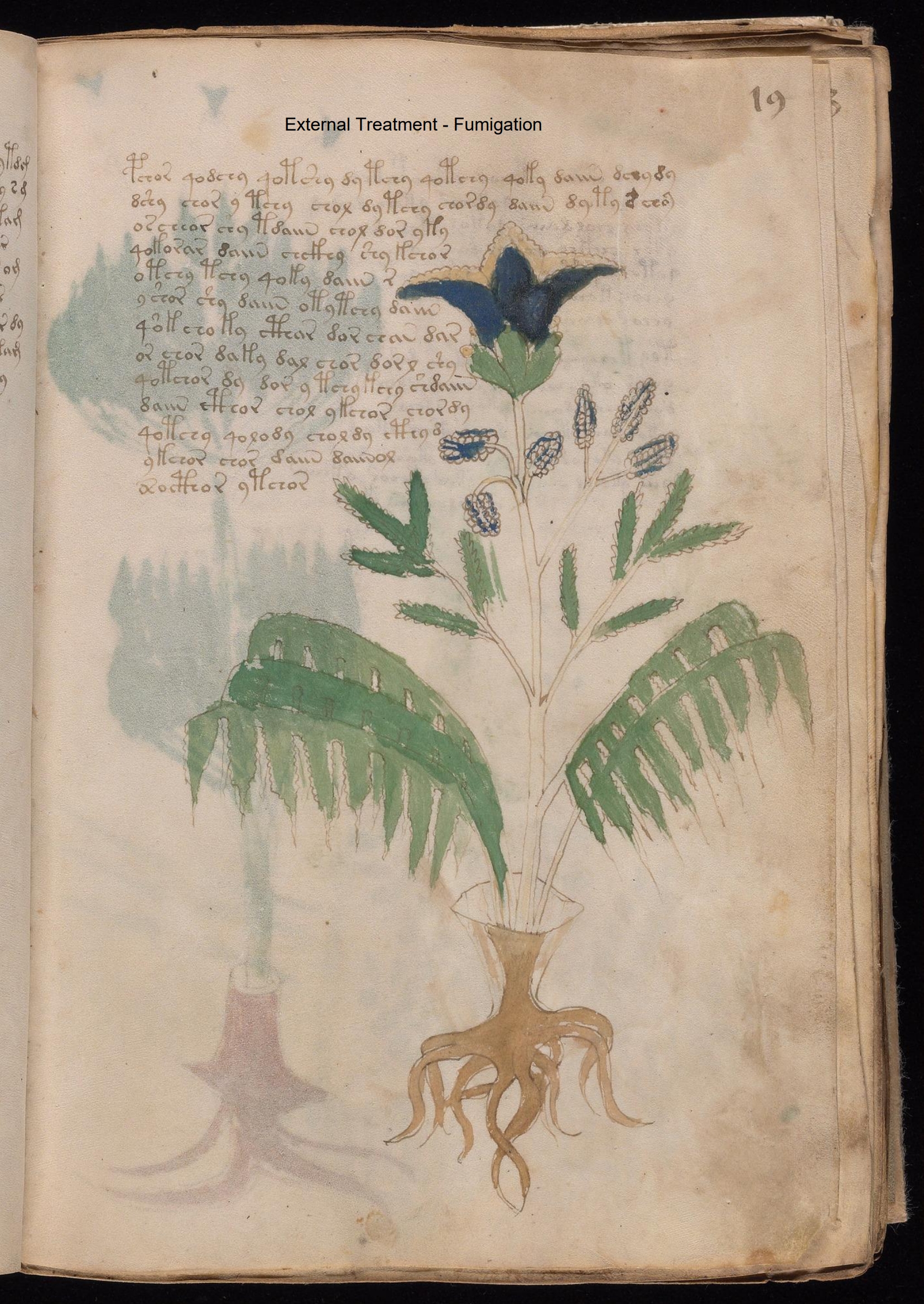 Secondary labelled diagram of Folio 19r